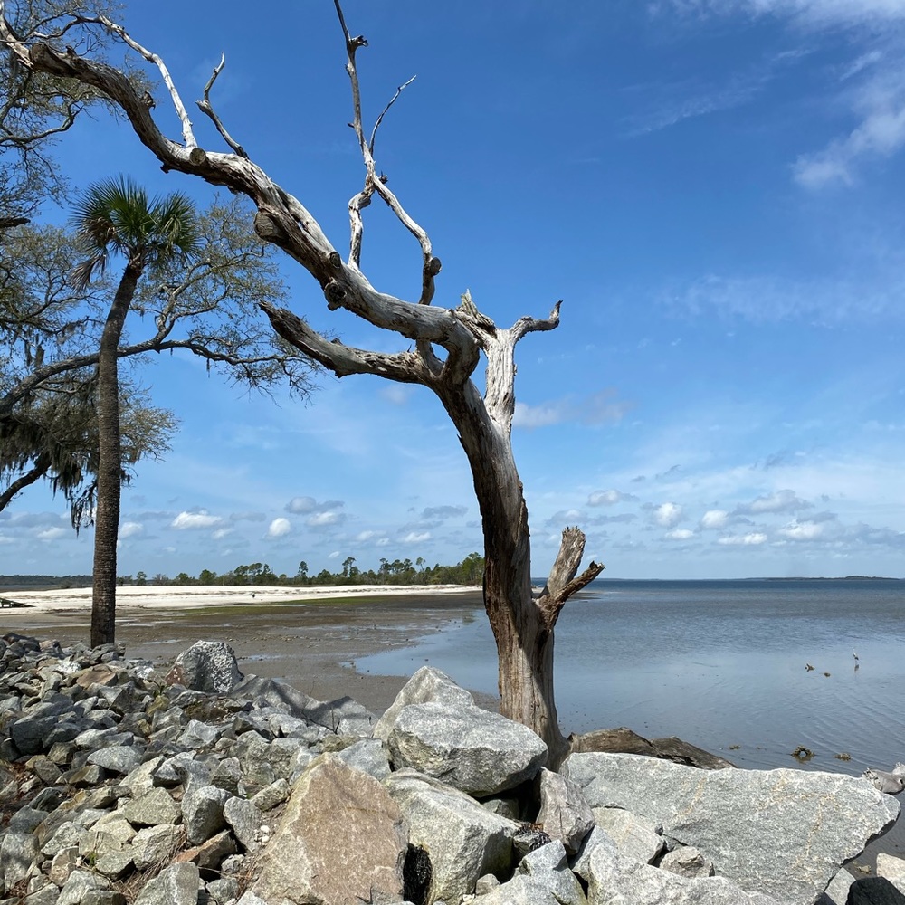 Meet your Posher, Esme